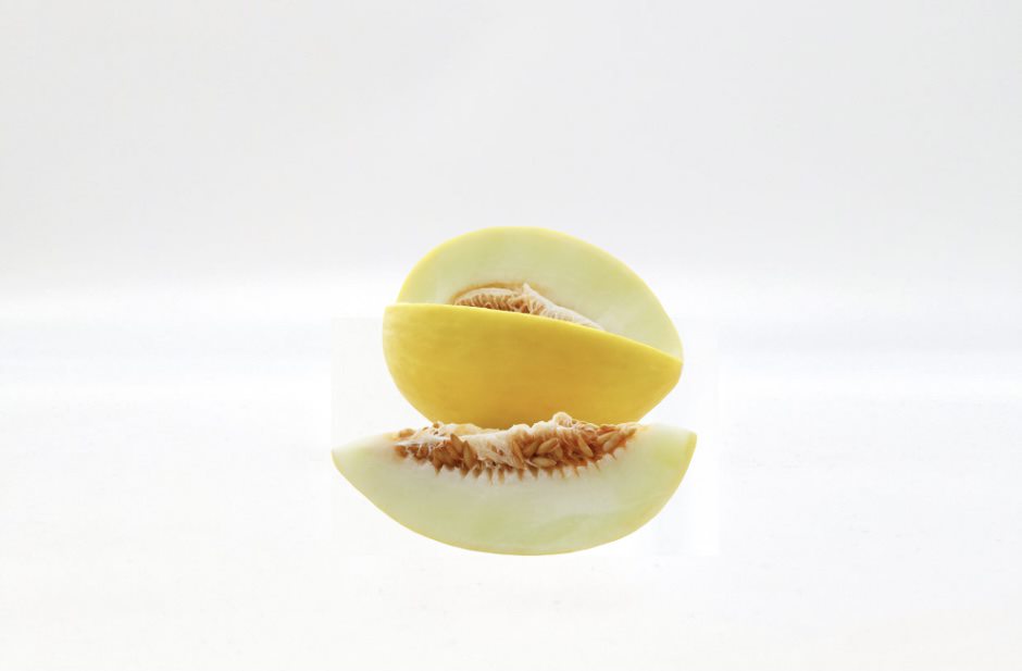 Honeydew Melon