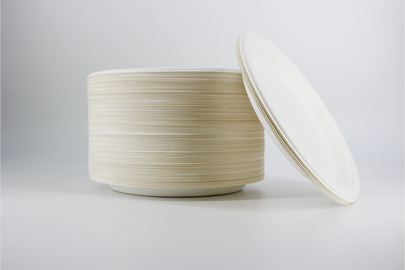 Bagasse 9 Inch Biodegradable Plate (Case 500pc)