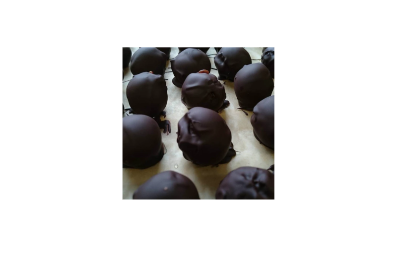 Jos Bucket Rawlo balls 50gx100pc